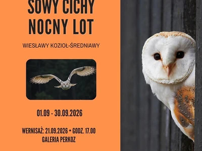 sowy-nocny-cichy-lot